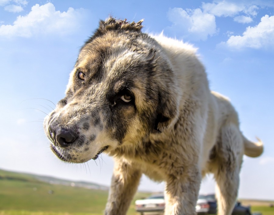 ����������� �� ����������� ������� �������� 70 000 � ������� �������� �� ��� �������