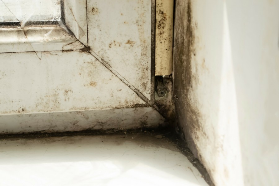 ������ ���������� ���������� ������ � ���� 291 000 ������ �� ������� � ��������