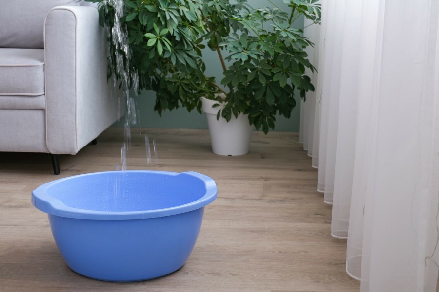 ������ ����� ������ � ����: ���������� ��������� �������� � ���� 183 ������ �� ������ �������