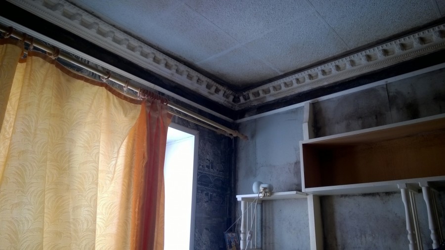 ���������������. ����� ���������� � �� �������� ��������� ���������� �� ������� ����� 340 000 ������