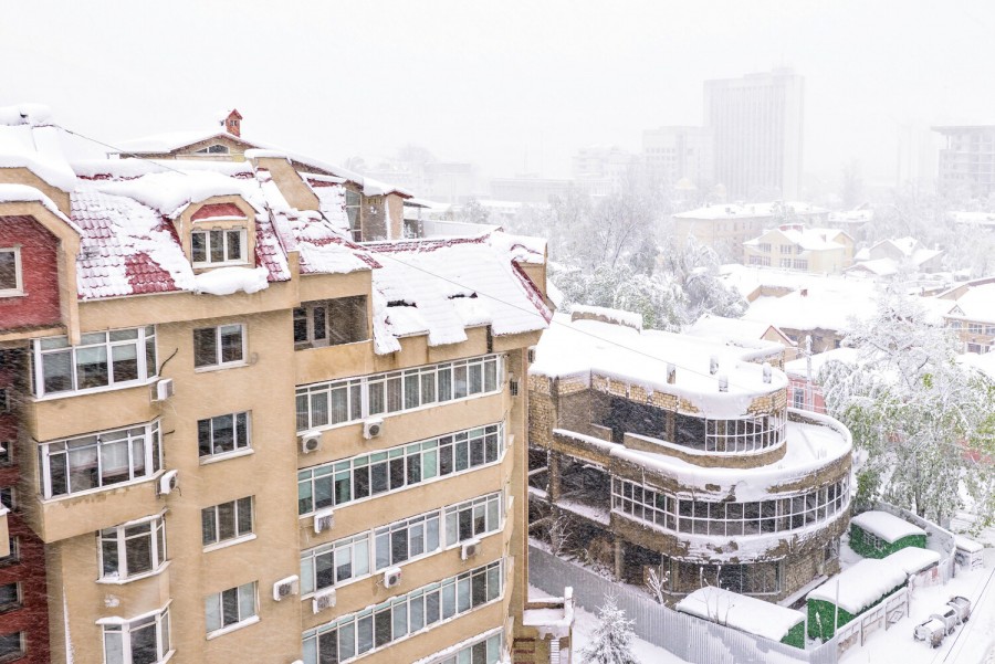 ����� ���� ����� ����������: ��� ��������� ��� ������ ������� � �������� ����������� �� ������ � ����������� ���������