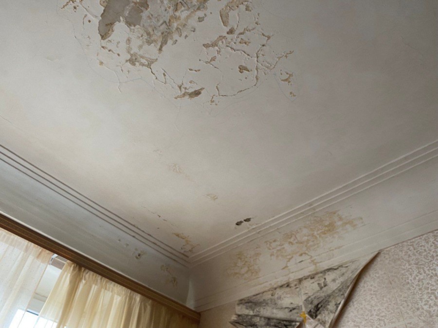 ��������, ��� ������ �����. ����������� �� �������� �������� ���������� ����� ����������� �� 2,4 ��� ������