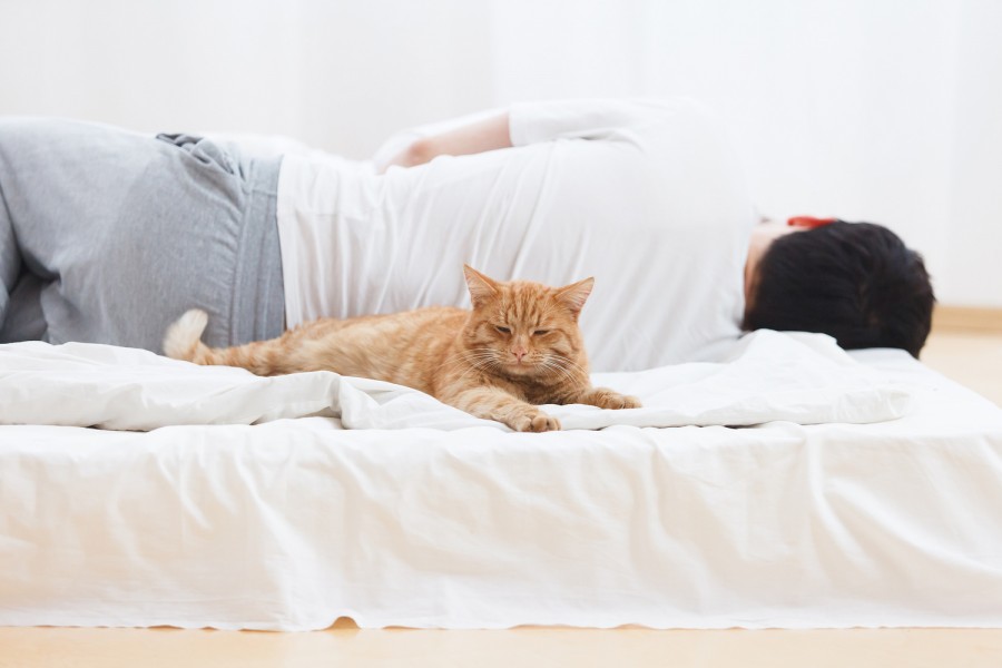 ������� ��������. ��� ������, ����� ������������ ������� ���� �����