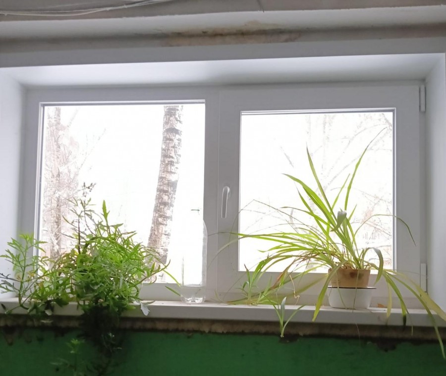 � ������ �� �������: ��� �������� ������ ���� � ��������