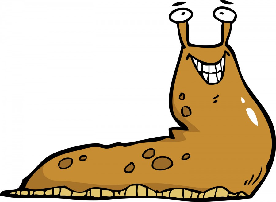 �����: ��������� ��� ���� ����� ������ ���� � ������ � ������ ��������� �������