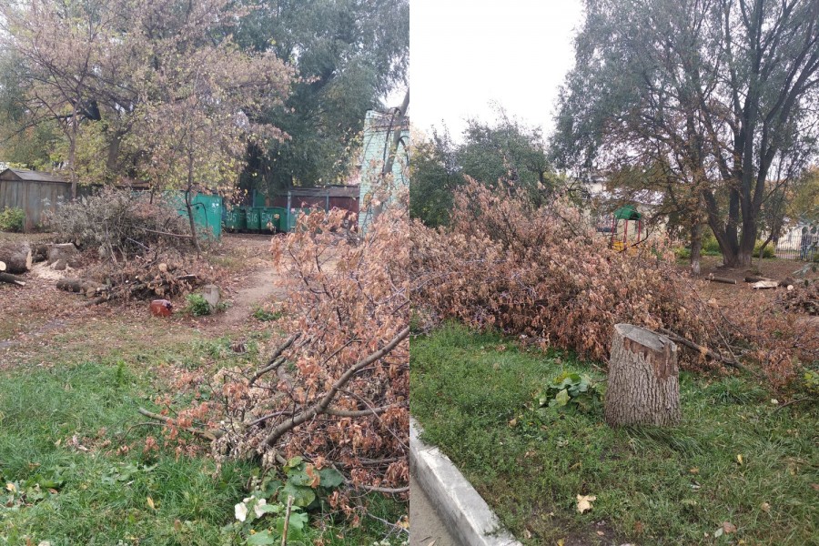 ��������� ��������� �� ���������� �� ������������������� ������ �� �����